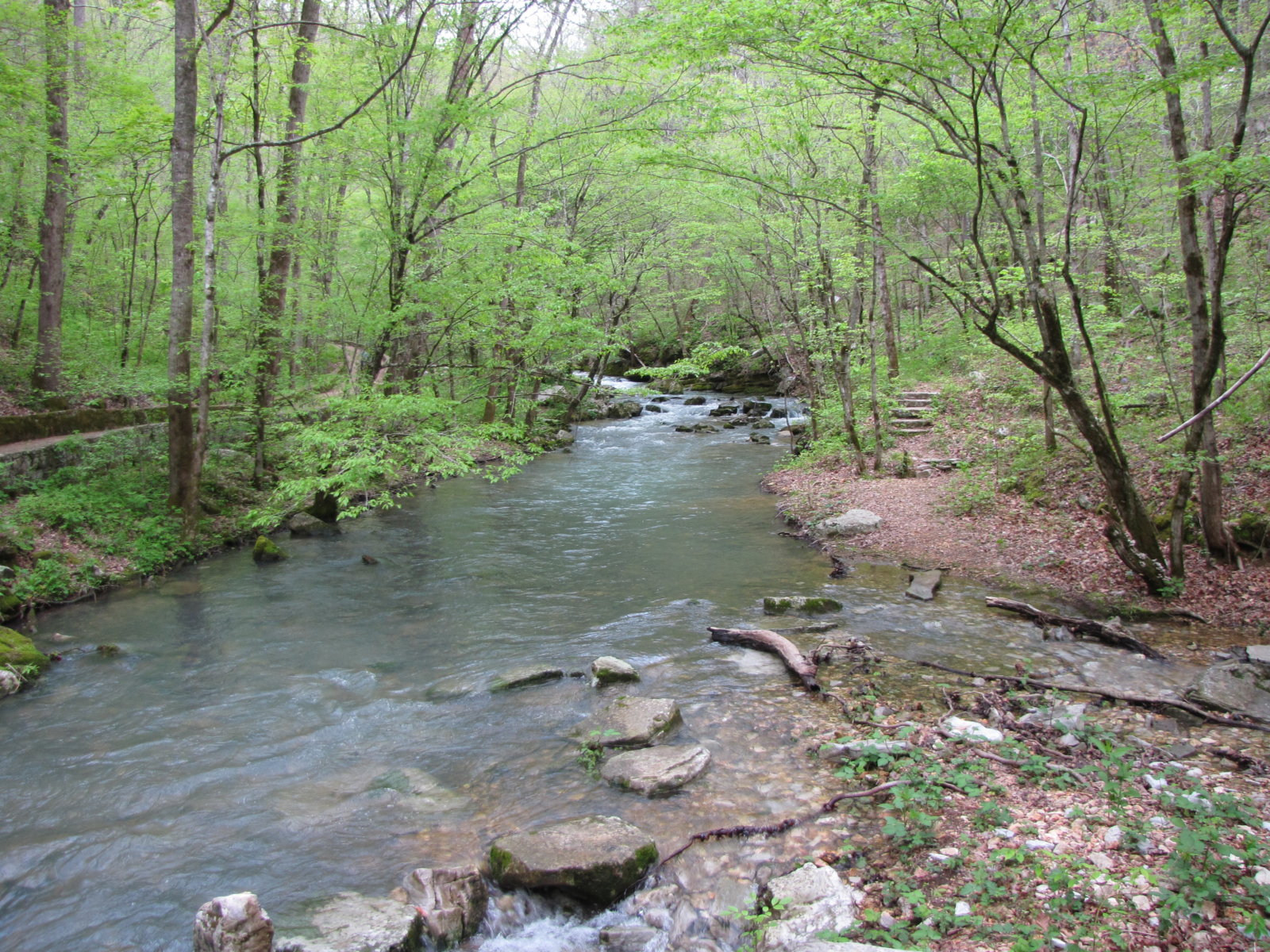 Mill Creek at Blanchard Springs 2
