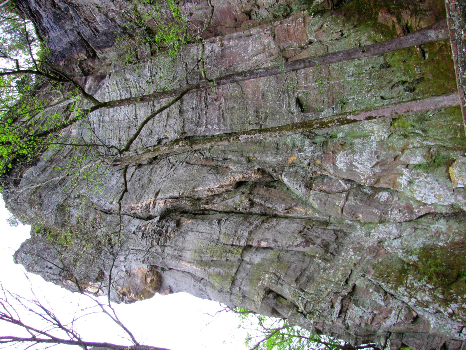 Rock Wall Above the Shelter Cave
