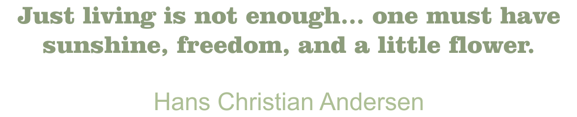 Blanchard Quote Hans Christian Andersen
