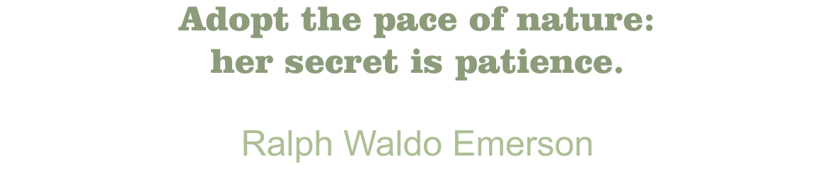 Blanchard Quote Ralph Waldo Emerson