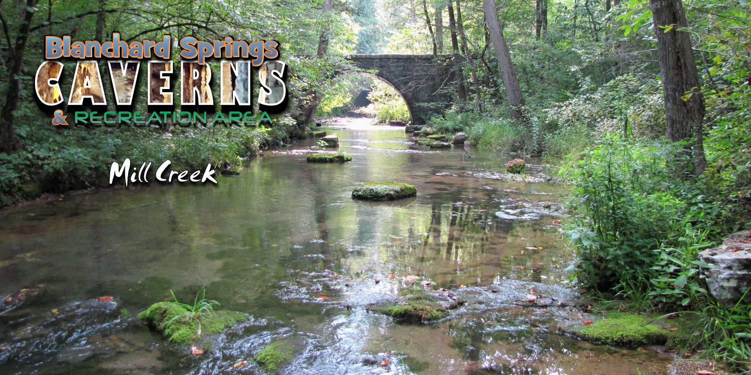 Mill Creek at Blanchard Springs