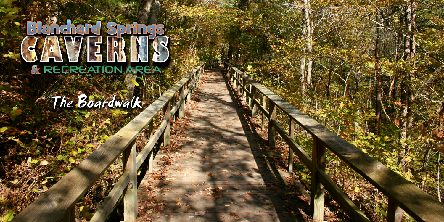 Boardwalk at Blanchard Springs