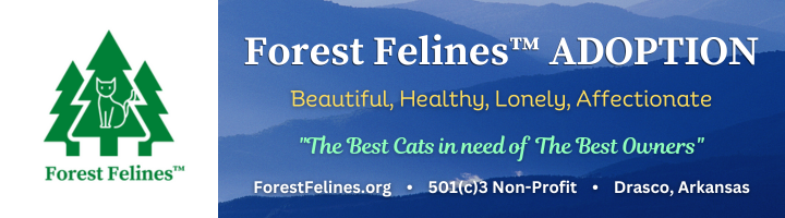 Forest Felines
